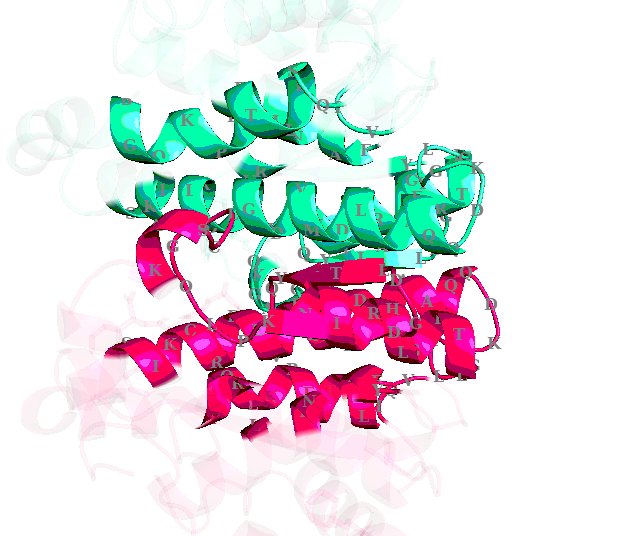 _images/clustering_ppis_3_14.png