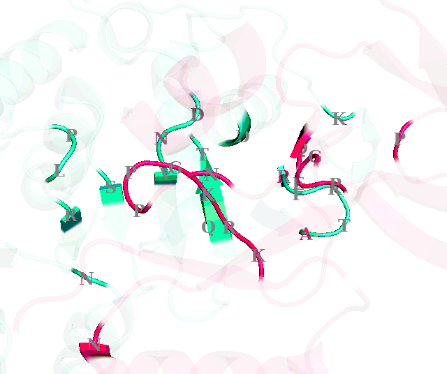 _images/clustering_ppis_3_8.png
